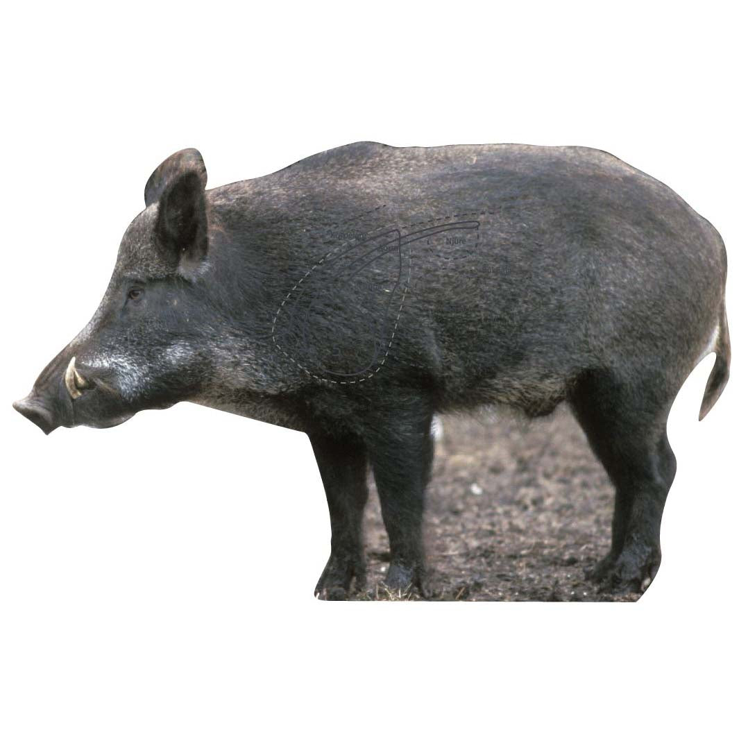 Skjutmål Vildsvin sida sugga vänster