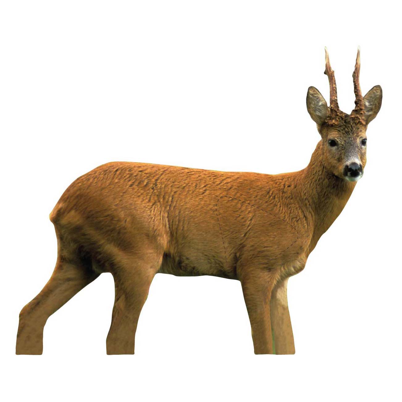 Skjutmål Bock höger