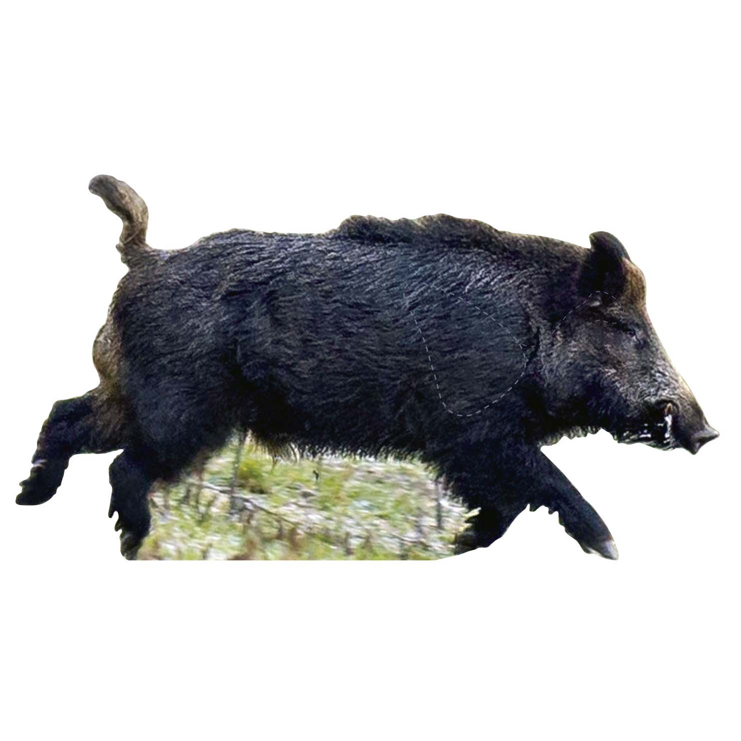 Skjutmål Vildsvin löpande höger