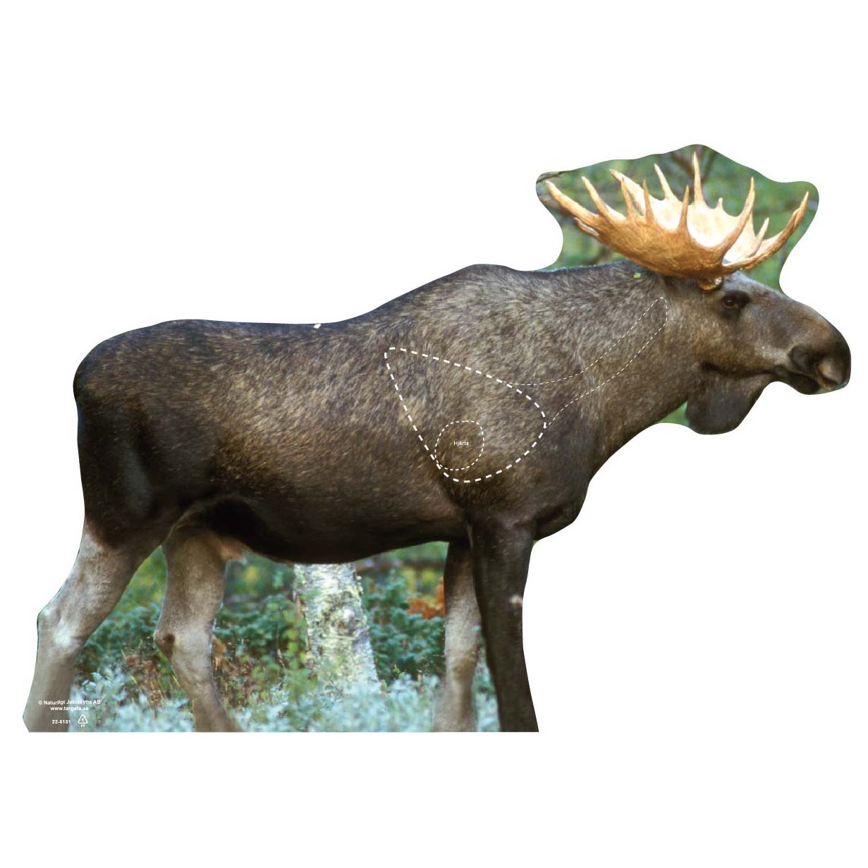 Skjutmål Älg 22 mål