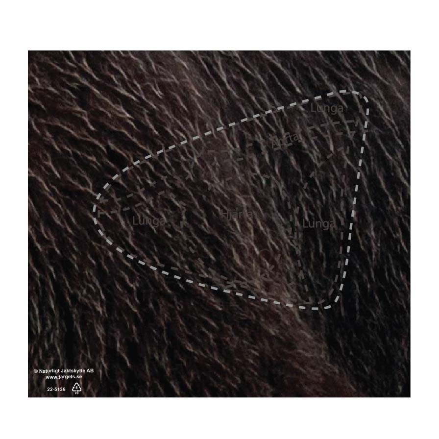 Skjutmål Björn Träffområde Vänster