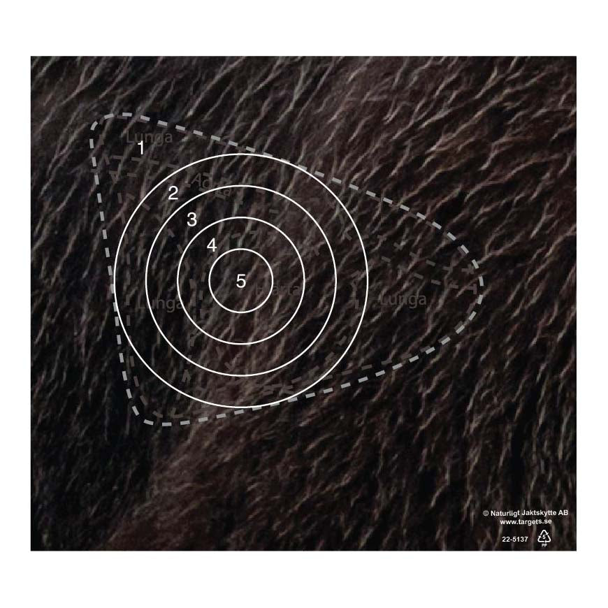 Skjutmål Björn Träffområde Höger ringad