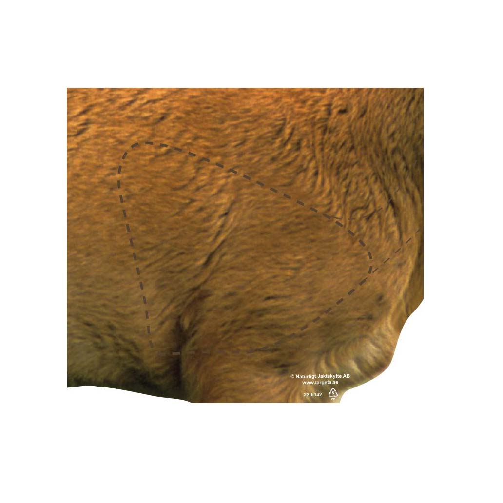 Skjutmål Bock Träffområde Höger