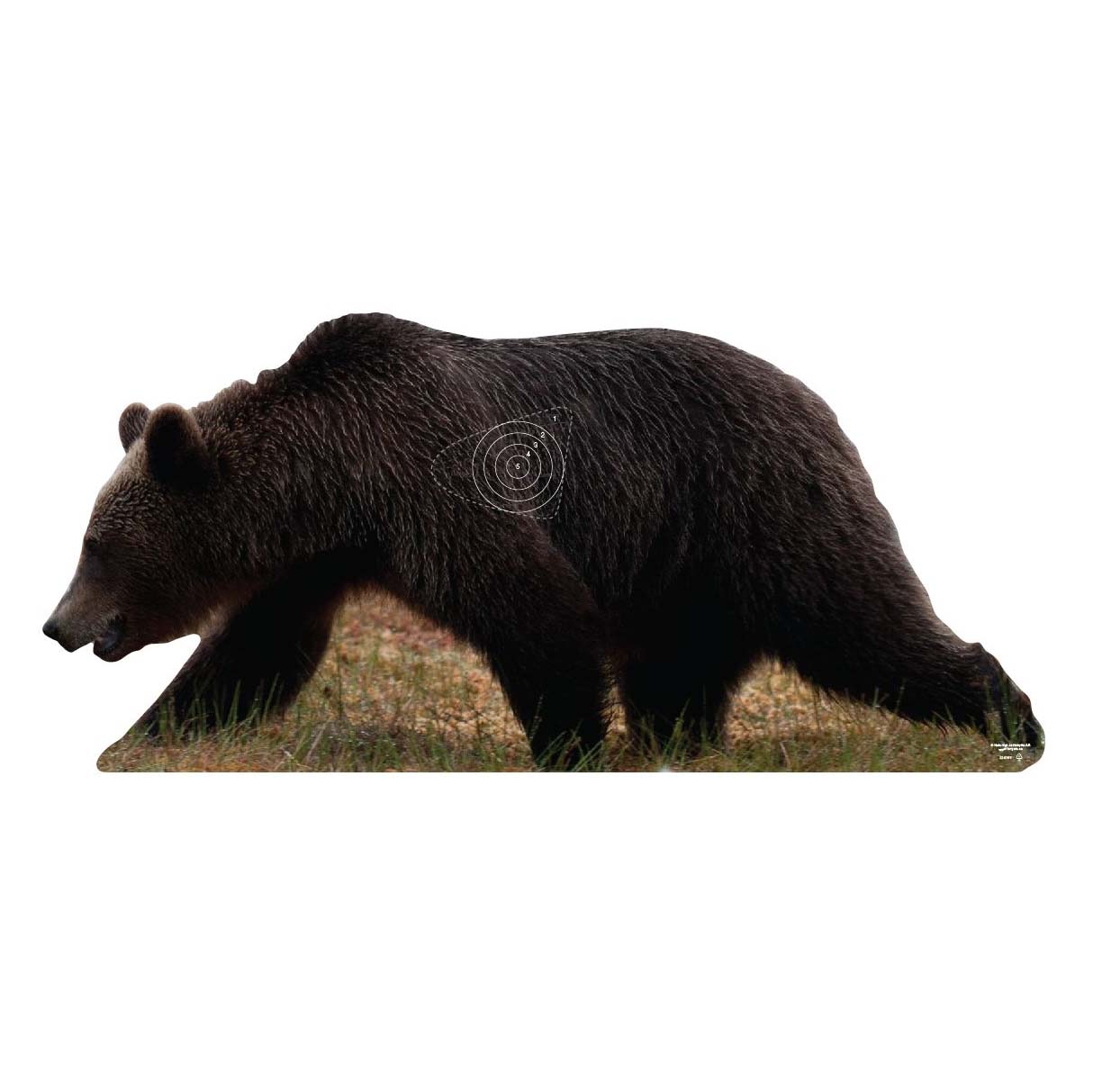 Skjutmål Björnsida vänster ringad