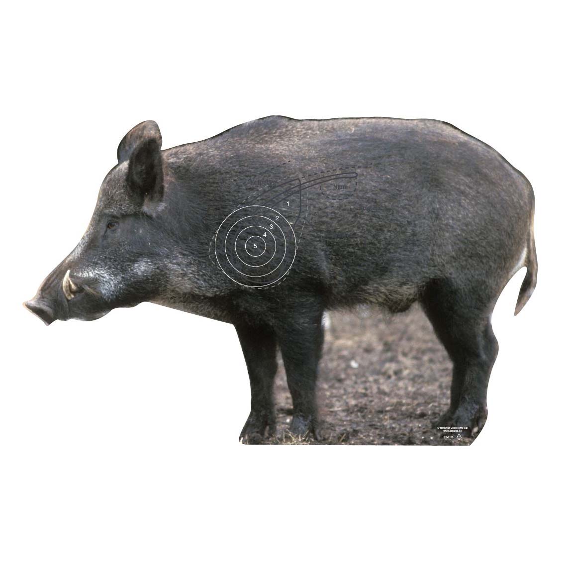 Skjutmål Vildsvin sida sugga vänster ringad