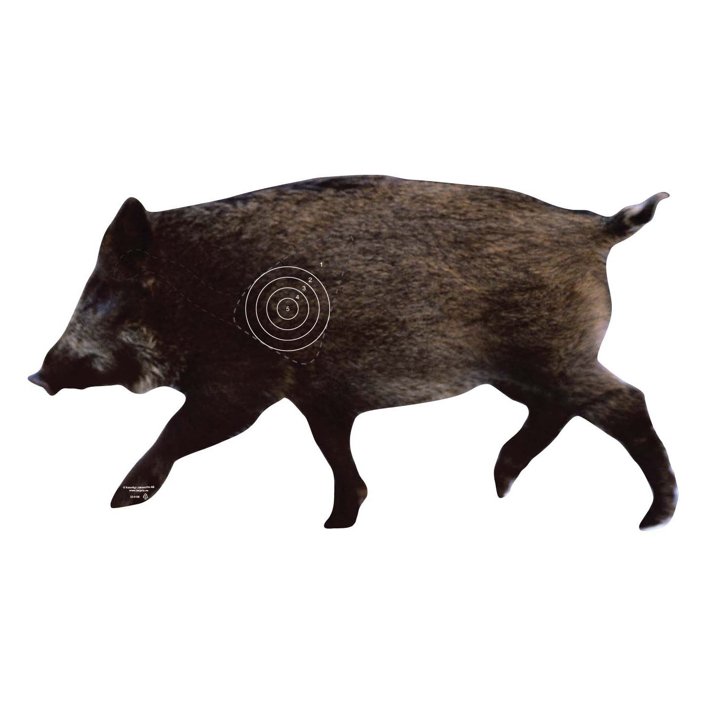 Skjutmål Vildsvinsida kulting vänster ringad