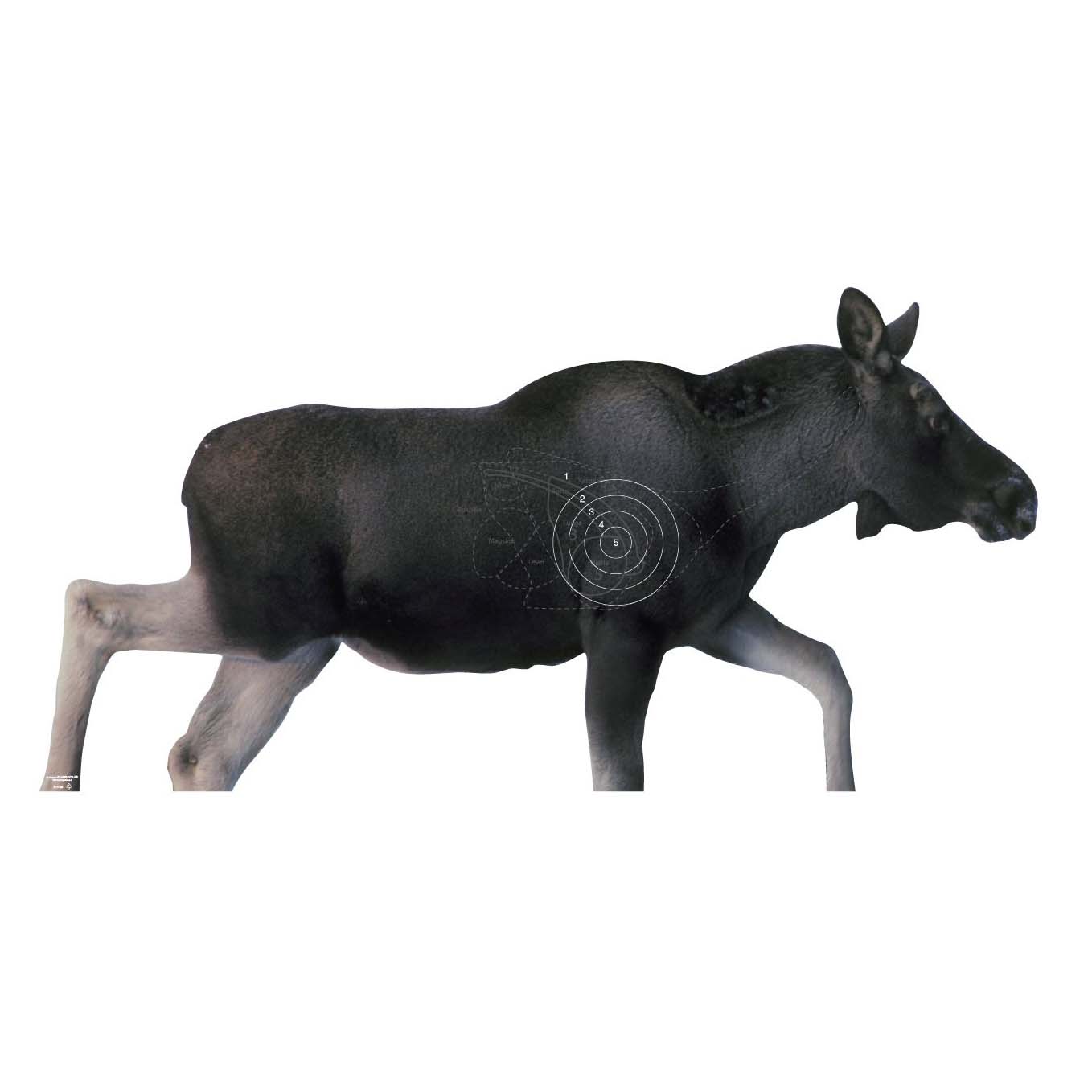 Skjutmål Älgkalv höger med ringat träffområde