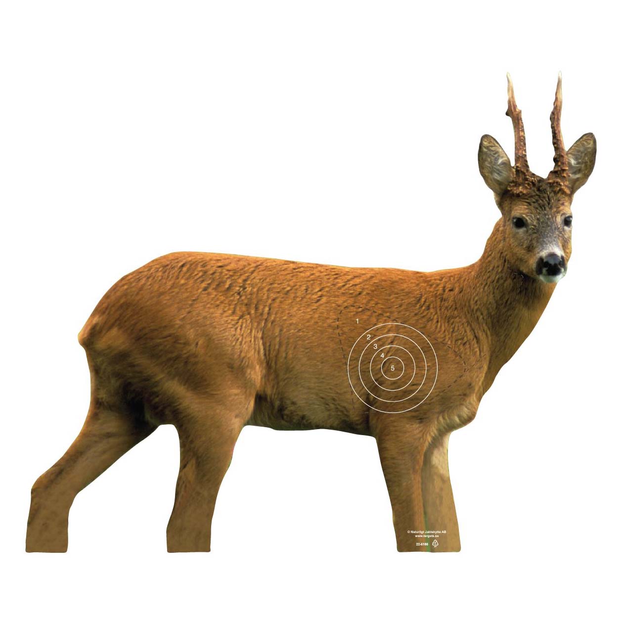 Skjutmål Bock höger ringad