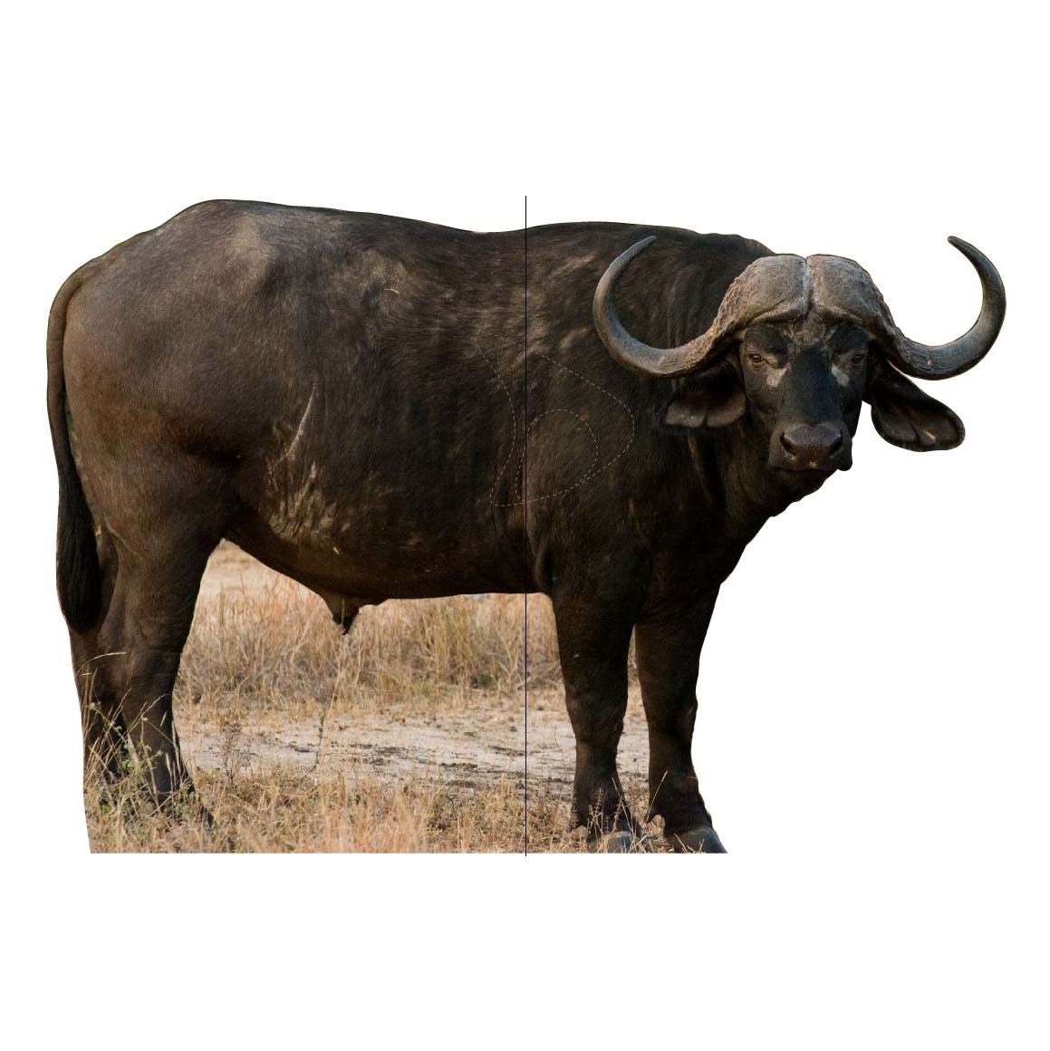 Skjutmål Buffel sida höger med träffområde