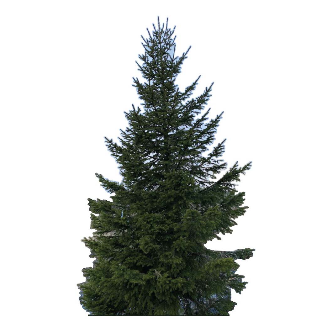 22-5226 Gran akyprint