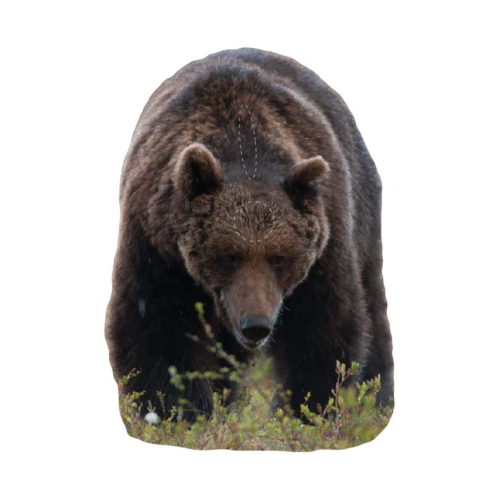 Skjutmål Björnfront