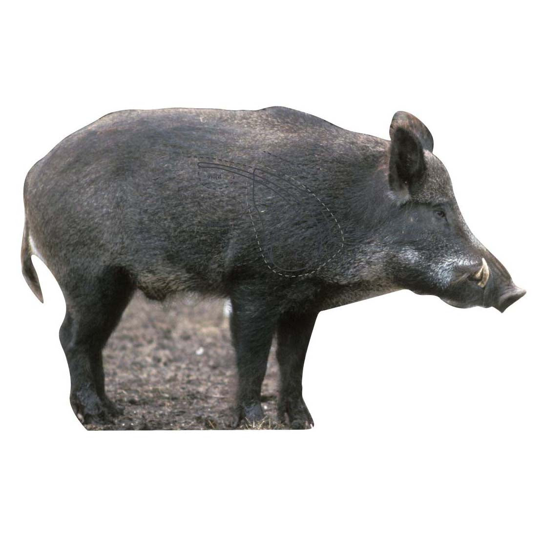 Skjutmål Vildsvin sida sugga höger
