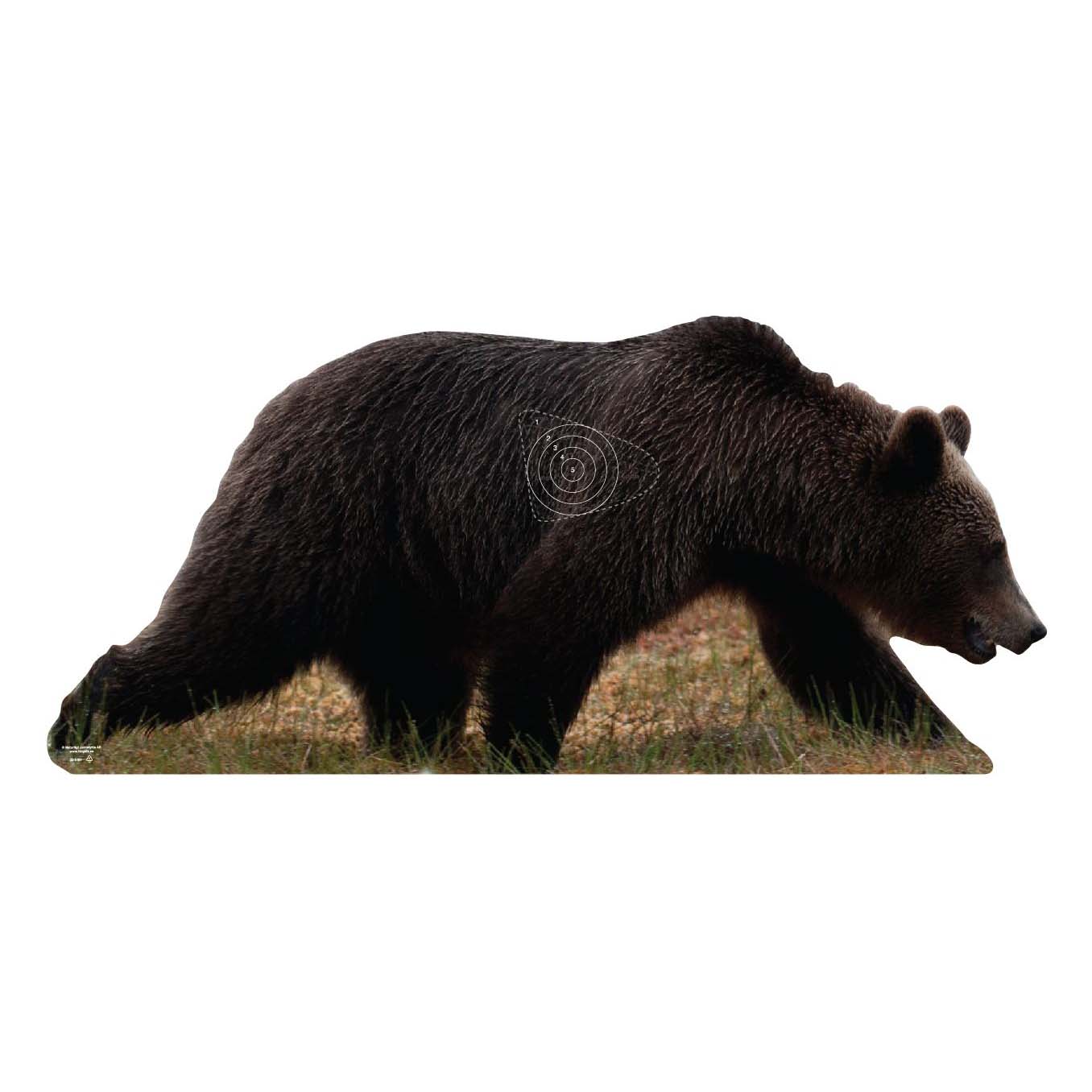 Skjutmål Björnsida höger ringad