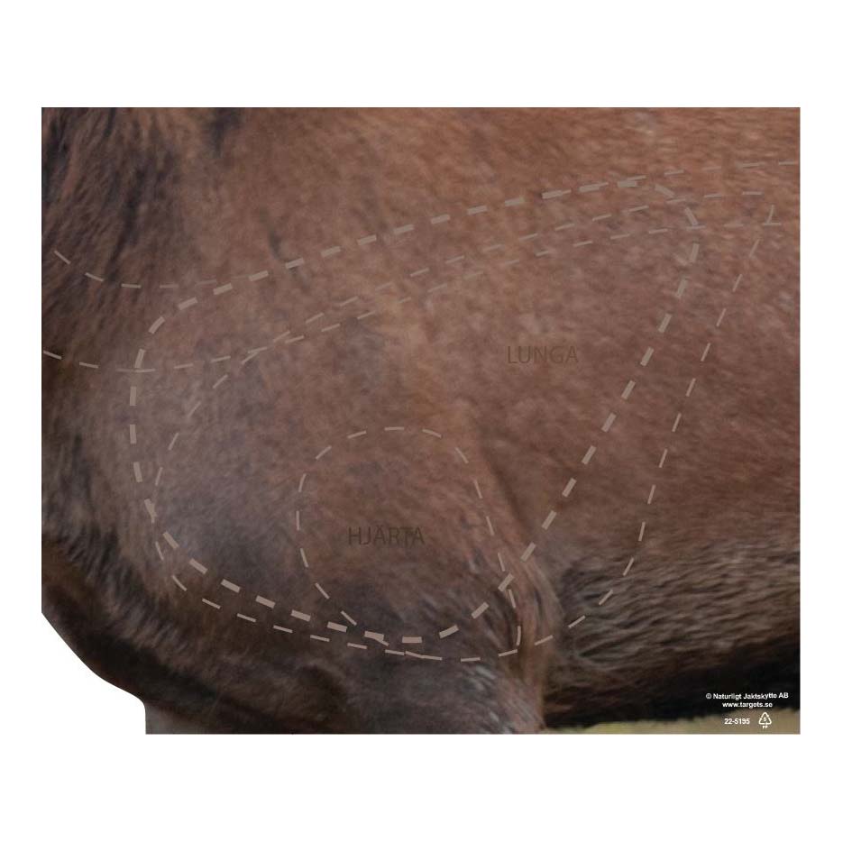 22-5195 Skjutmål Kronhjort träffområde vänster