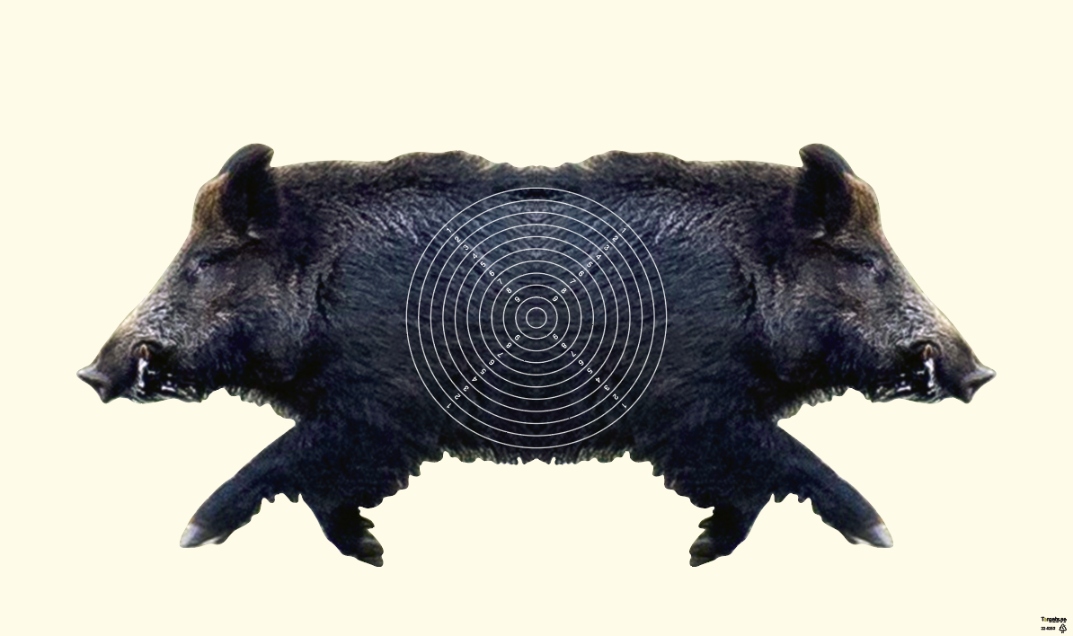 22-5253 Siamesvildsvin W5 Kongsberg 50m