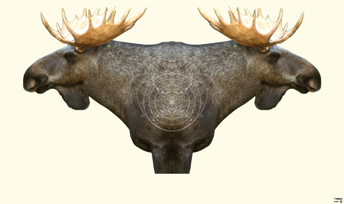 22-5254 Siamesälg W5 Kongsberg 50m